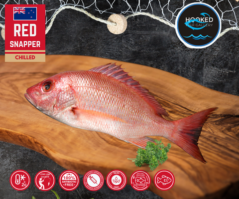 CHILLED NZ Wild Whole Snapper 1.2kg to 1.6kg (arrives Friday 17/10) *Price subject to change due to weight