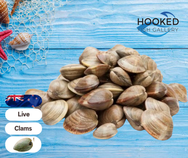Live New Zealand Little Neck Clams Farmers Market HK