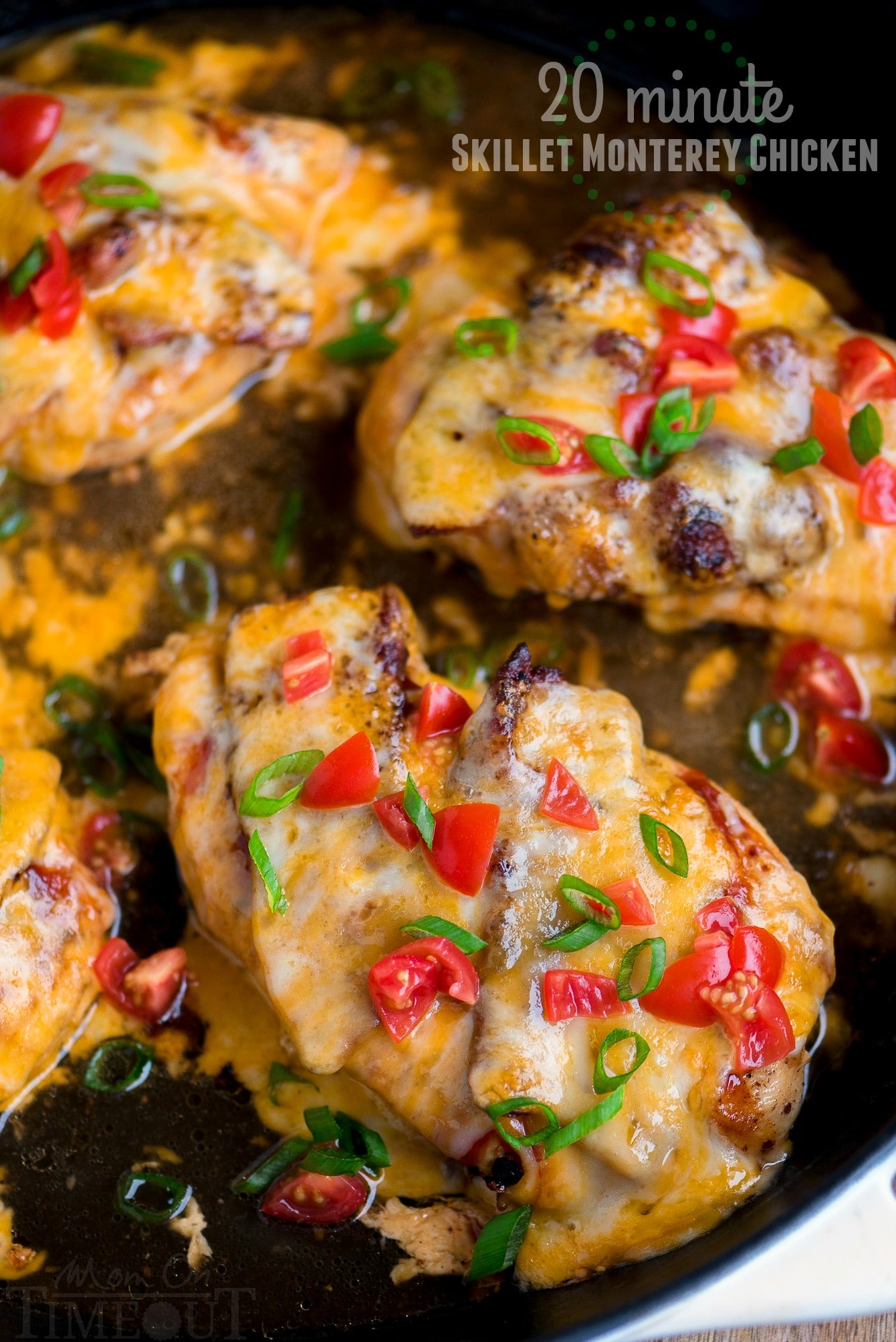 20 Minute Skillet Monterey Chicken