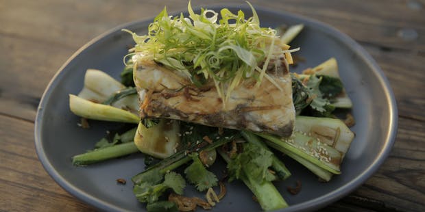 Steamed Barramundi with Asian Greens