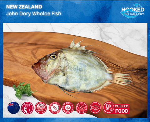 CHILLED NZ Wild Whole John Dory 1.8kg to 2.0kg (arrives 26/9) *price subject to change due to weigh