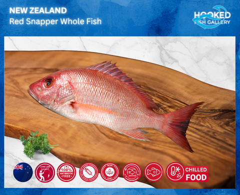 CHILLED NZ Wild Whole Snapper 1.2kg to 1.6kg (arrives Friday 17/10) *Price subject to change due to weight
