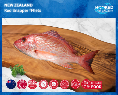 CHILLED NZ Wild Whole Snapper 1.2kg to 1.6kg (arrives Friday 17/10) *Price subject to change due to weight