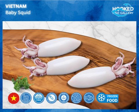 FROZEN - Wild Baby Calamari