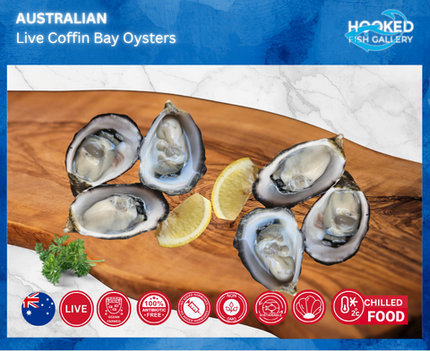 LIVE Australian Coffin Bay 6pcs. Oysters