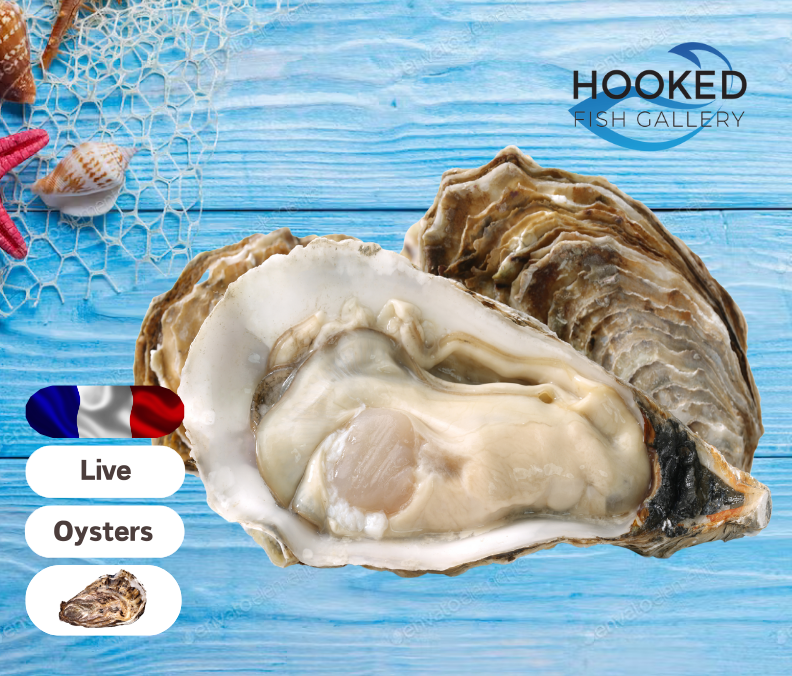 LIVE French Oysters Farmers Market HK