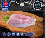 FROZEN Grouper - Two Fillets