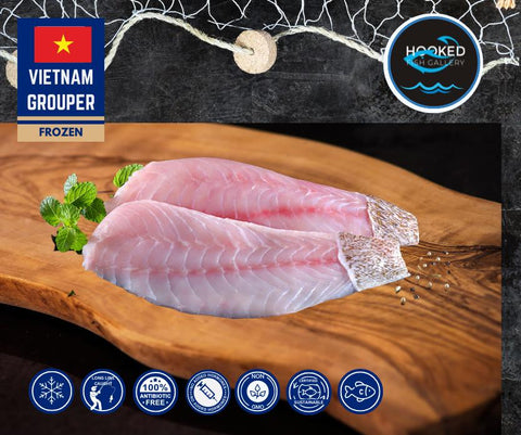 FROZEN Grouper - Two Fillets