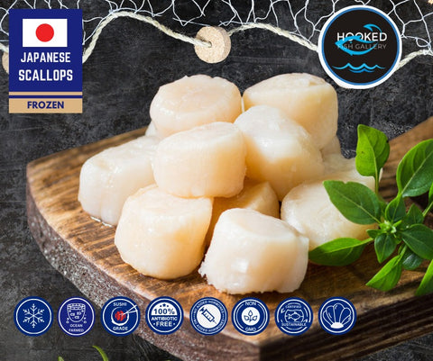 Frozen - Japanese Scallop Sashimi Grade - 500g