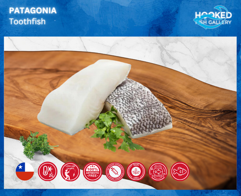 Wild Caught Patagonian Toothfish 250g to 270g