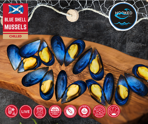 LIVE Scottish Blue Shell Mussels 500g Bags