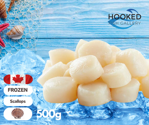 Frozen - Canadian Wild Caught Scallop 500g