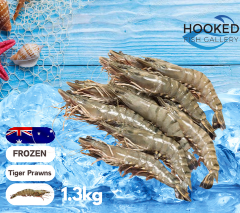 FROZEN - Wild Caught Tiger Raw Prawns, 1.3kg